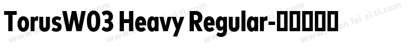 TorusW03 Heavy Regular字体转换